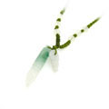 節(jié)節(jié)高升玉石項(xiàng)鏈
