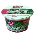 親親花園創(chuàng)意小園藝/可愛牽?；ǚN植花草